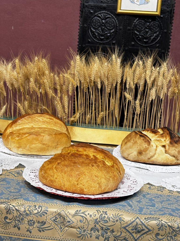 Tradicionalni bunjevački somun pečen od novog žita